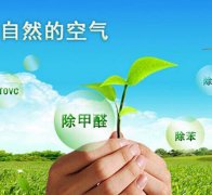 除甲醛對(duì)于住房安全和環(huán)境保護(hù)的作用有什么？