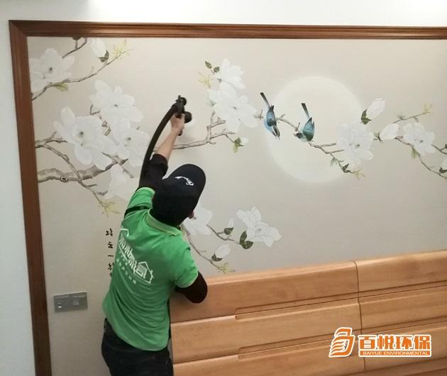 室內(nèi)除甲醛植物百悅環(huán)保室內(nèi)除甲醛公司 室內(nèi)除甲醛植物百悅環(huán)保室內(nèi)除甲醛公司