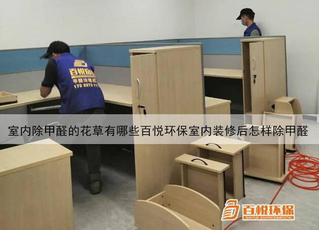 室內除甲醛的花草有哪些百悅環(huán)保室內裝修后怎樣除甲醛 室內除甲醛的花草有哪些百悅環(huán)保室內裝修后怎樣除甲醛